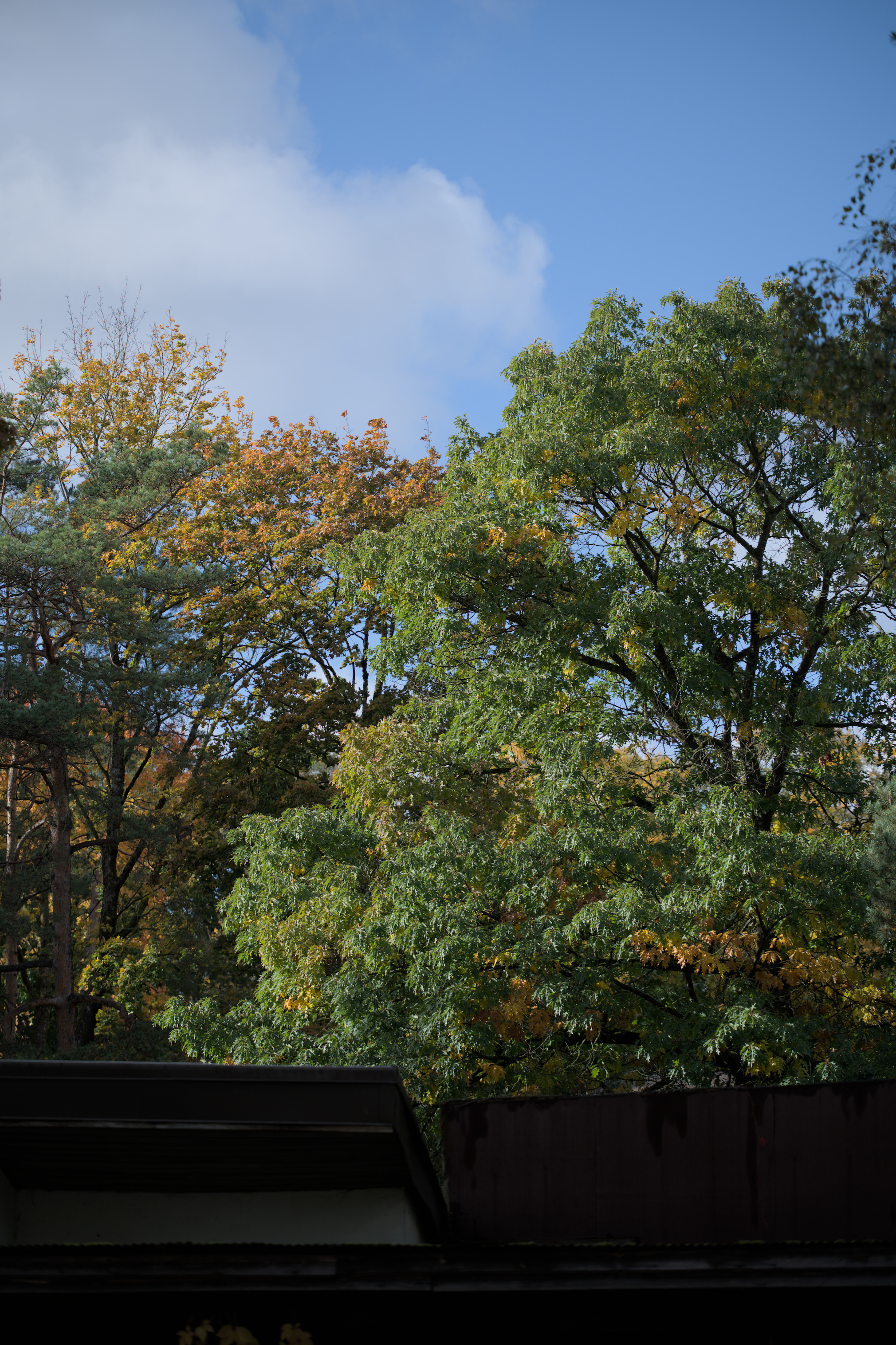 2025/10/12 - zoo/DSC_0303.jpg